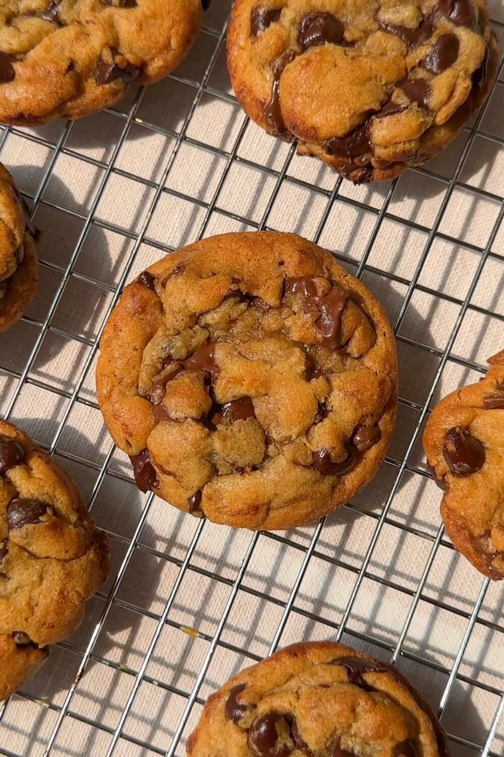 Amerikan Cookie